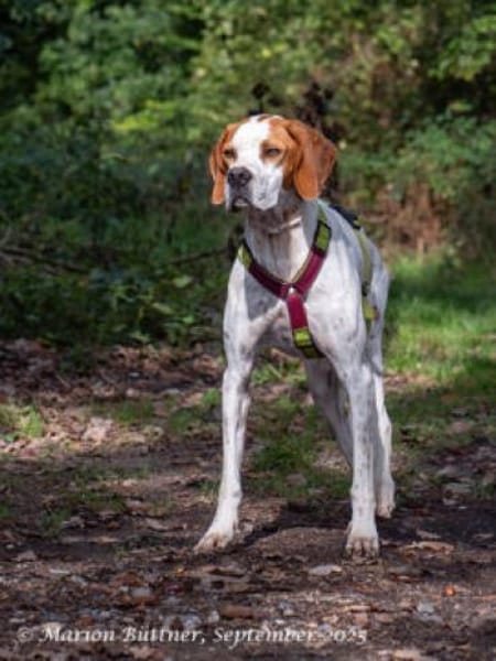 Teo ist ein lustiges Energiebündel