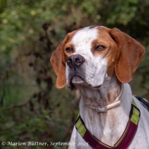 Teo ist ein lustiges Energiebündel