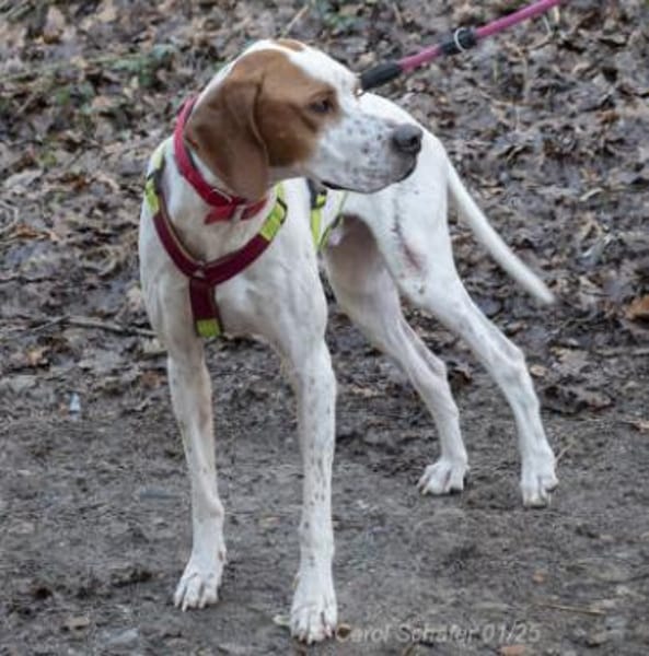 Teo ist ein lustiges Energiebündel