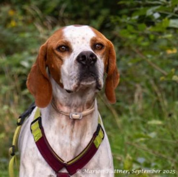 Teo ist ein lustiges Energiebündel