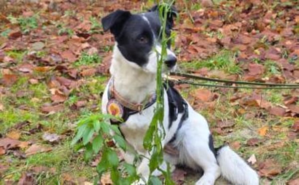 Klein Julika ist ein wahrer Schatz