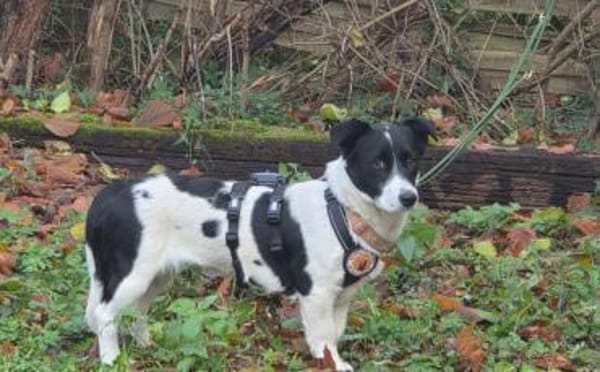 Klein Julika ist ein wahrer Schatz