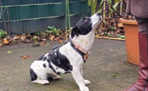 Klein Julika ist ein wahrer Schatz