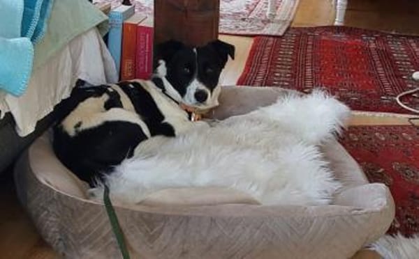 Klein Julika ist ein wahrer Schatz