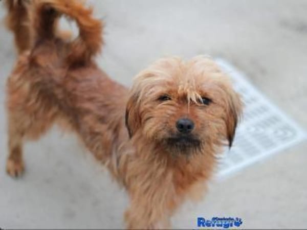 Sanfte Tiffy auf d. Suche nach Endstelle