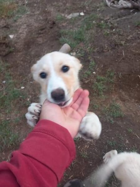 Frida  lernwillig und aufgeweckt