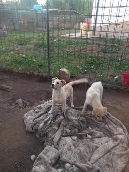 Frida  lernwillig und aufgeweckt