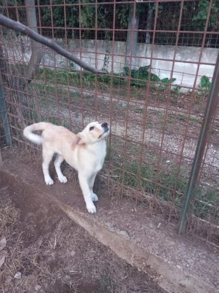 Frida  lernwillig und aufgeweckt