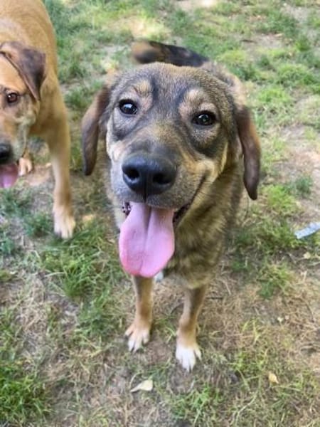 Floh Max            ab 24.11. in Berlin