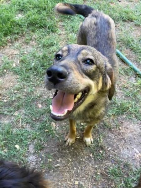 Floh Max            ab 24.11. in Berlin