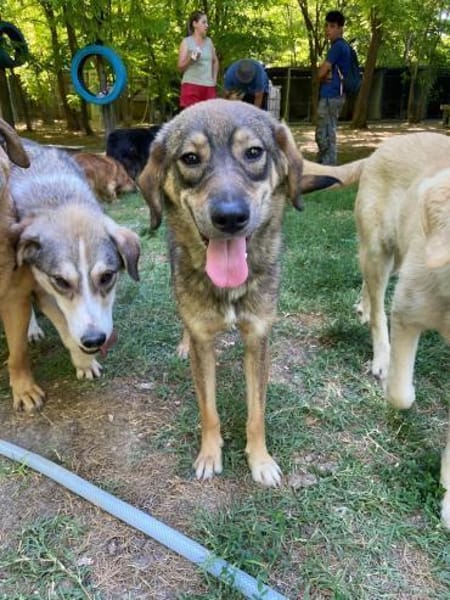 Floh Max            ab 24.11. in Berlin