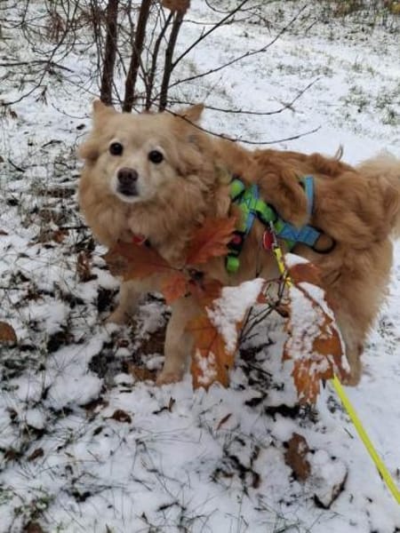 Jimena verdient ganz viel Liebe.....