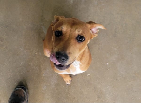 Canelle (réservée)