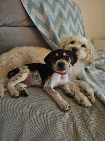 Baya, la plus mignonne