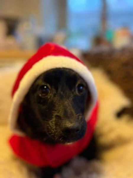 Phebe hofft auf ein zu Hause