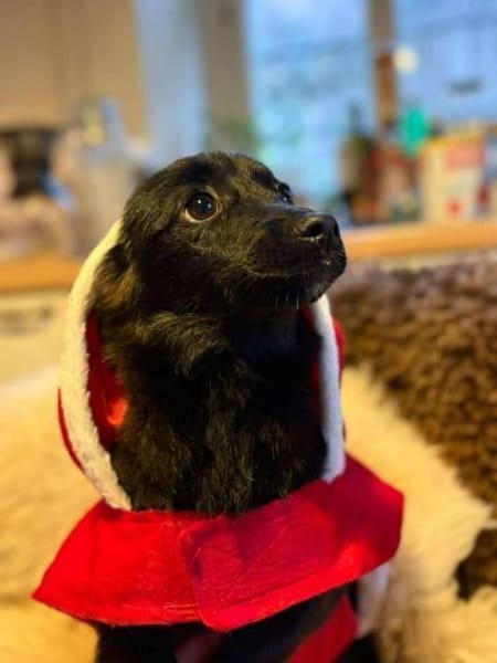 Phebe hofft auf ein zu Hause