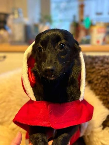 Phebe hofft auf ein zu Hause