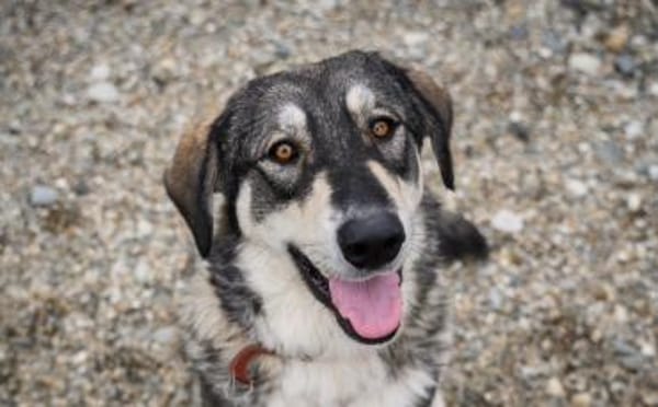 Aufgeschlossene und entspannte Alisea