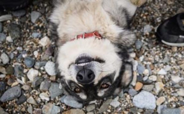 Aufgeschlossene und entspannte Alisea