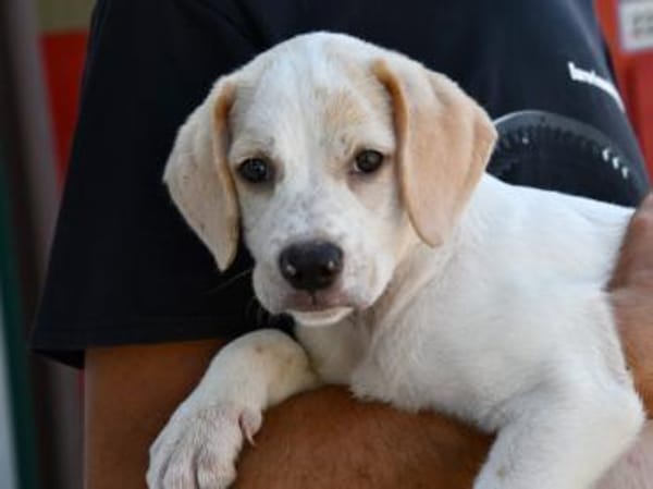 Sophie wünscht sich ein besseres Leben