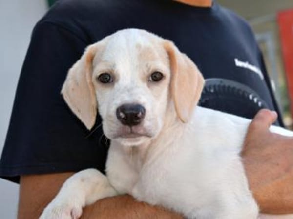 Sophie wünscht sich ein besseres Leben