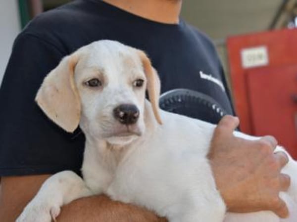 Sophie wünscht sich ein besseres Leben