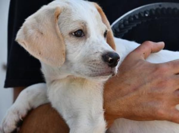 Sophie wünscht sich ein besseres Leben
