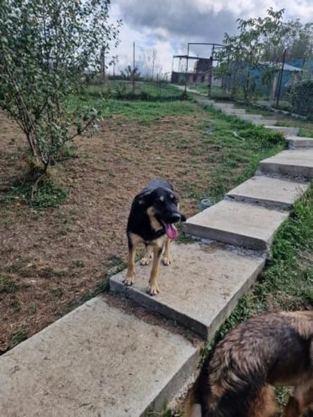 Olivia, nur weil ich schwarz bin???