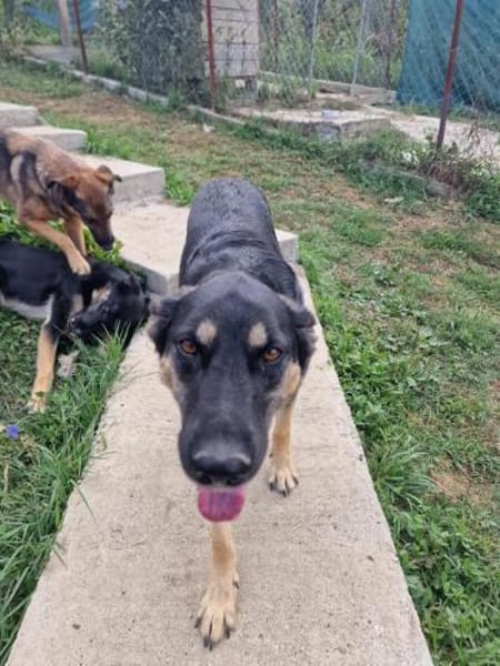 Olivia, nur weil ich schwarz bin???