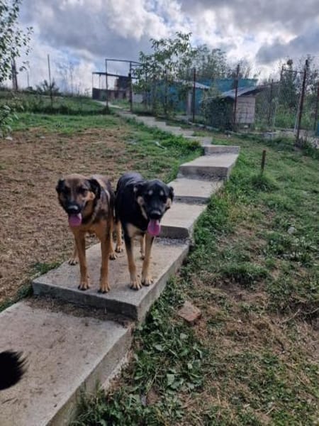 Olivia, nur weil ich schwarz bin???