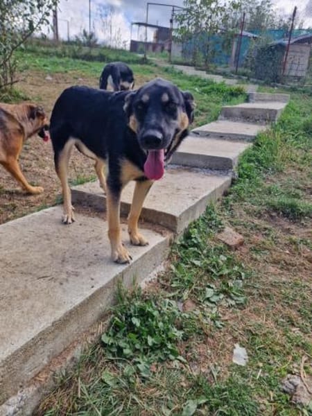 Olivia, nur weil ich schwarz bin???