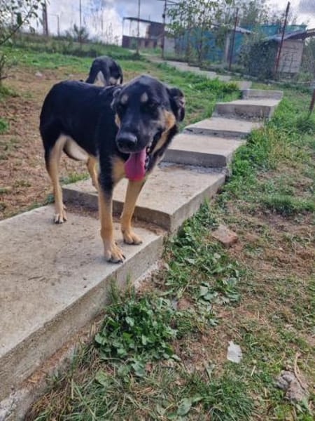 Olivia, nur weil ich schwarz bin???