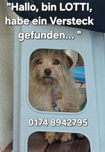 LOTTI  wünscht sich liebevolles Zuhause