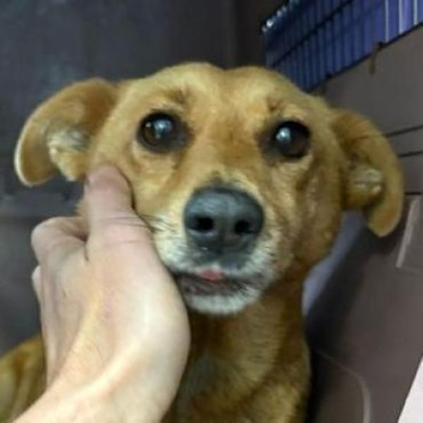 RHIANNA ist zauberhaft