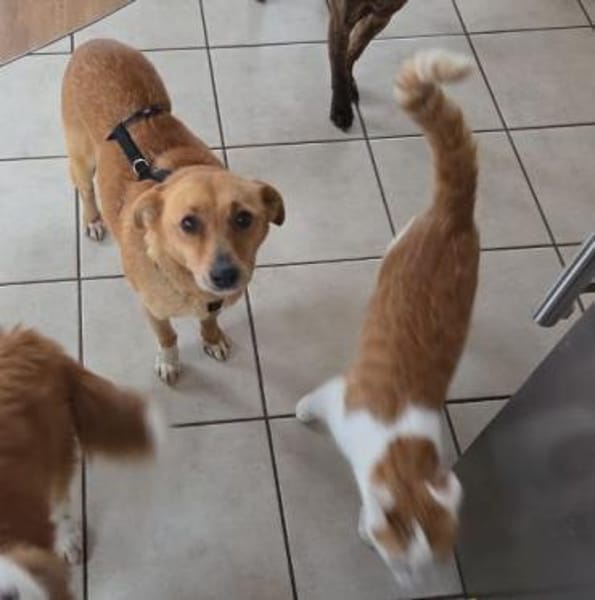 RHIANNA ist zauberhaft