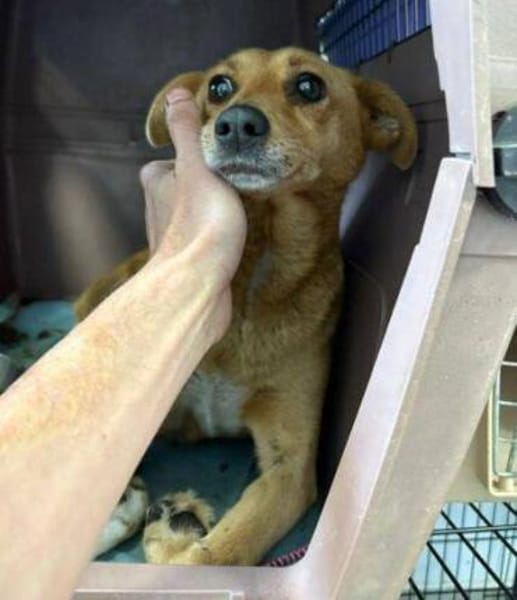 RHIANNA ist zauberhaft