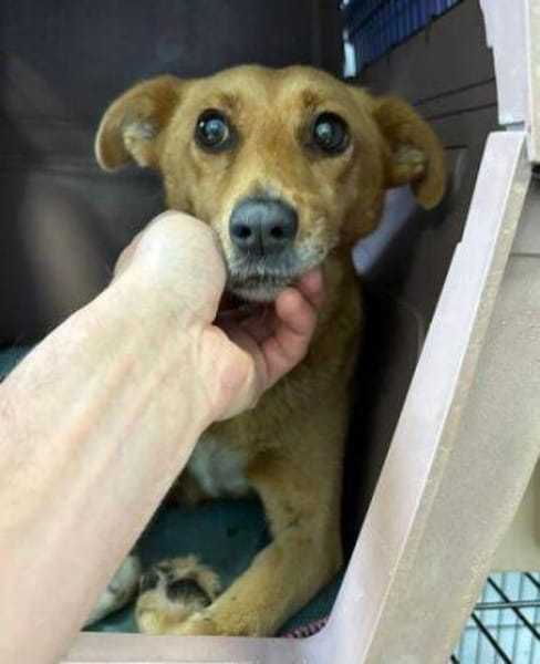 RHIANNA ist zauberhaft