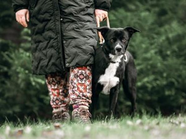 Timo sucht seine Menschen