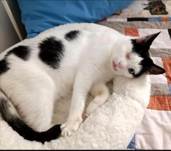 Belinda sucht in Wohnungshaltung