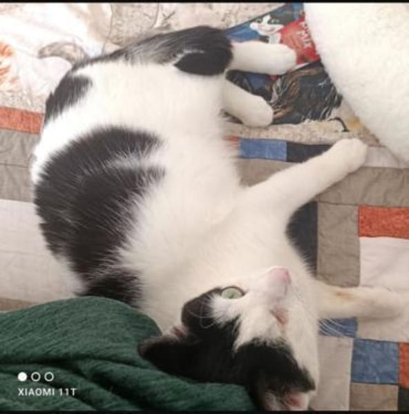 Belinda sucht in Wohnungshaltung