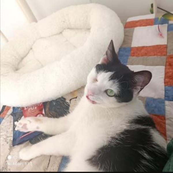 Belinda sucht in Wohnungshaltung