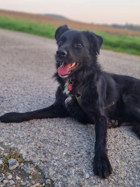 junger aktiver JarJar sucht seine Glück