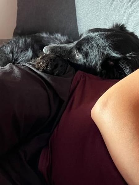 junger aktiver JarJar sucht seine Glück