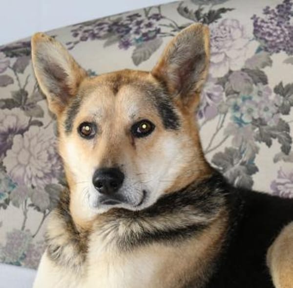 Karlchen sucht liebevole Menschen