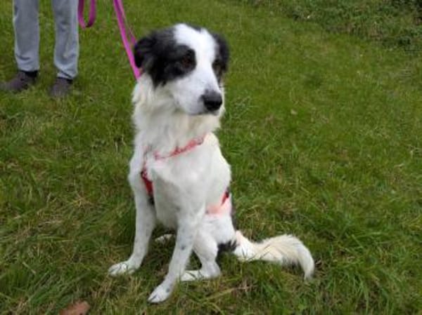 Schenken Sie Jacky ihr Traumzuhause?