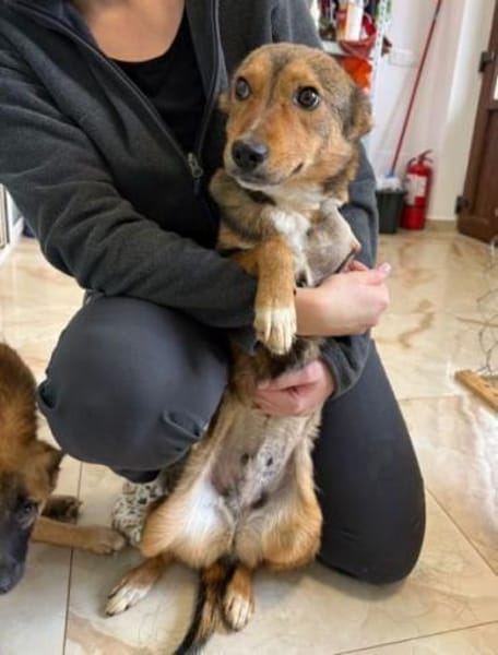 SADY wer schenkt ihr Glück