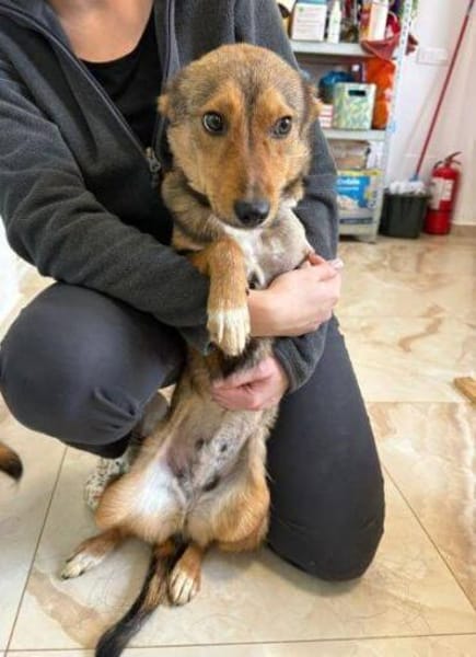 SADY wer schenkt ihr Glück