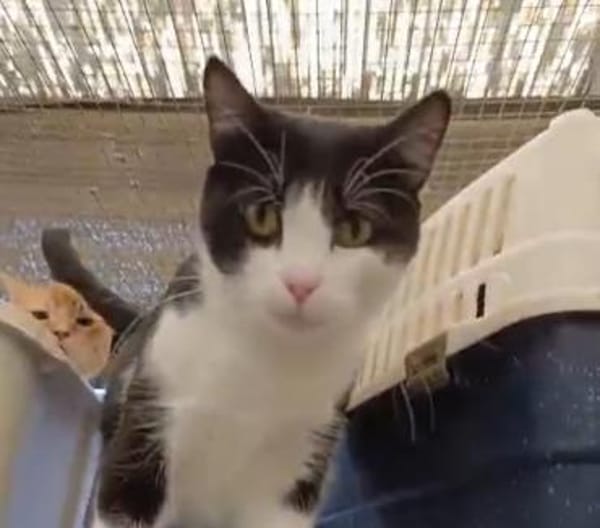 Valentino  unser Sonnenschein