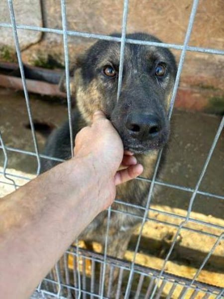 SHARUKH wäre gern dein Freund