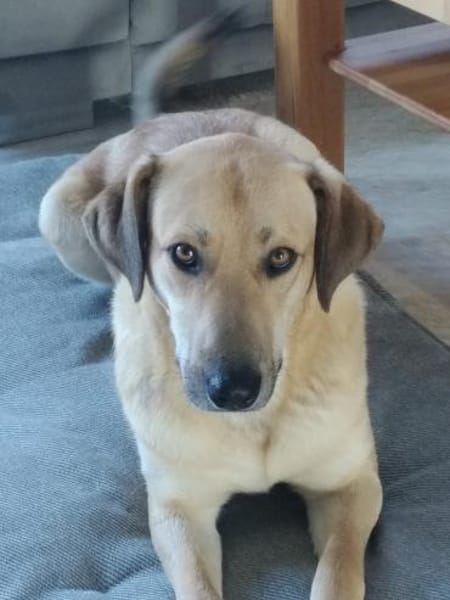 Johnny sucht seine Familie